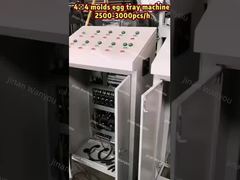 3000PCS/HR دستگاه سینی تخم مرغ خمیر کاغذ خودکار