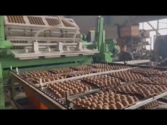 سینی تخم مرغ 3000 عدد دستگاه تشکیل سینی تفاله اتوماتیک