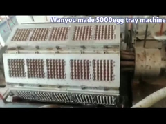 کارتن تخم مرغ کاغذی / دستگاه ساخت سینی، دستگاه ساخت سینی میوه بادوام
