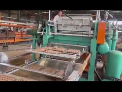 دستگاه ساخت سینی تخم مرغ دستگاه قالب گیری خمیر کاغذ برای مشاغل کوچک