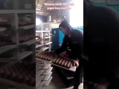 دستگاه ساخت سینی تخم مرغ نوع متقابل کاغذ، خط تولید سینی تخم مرغ