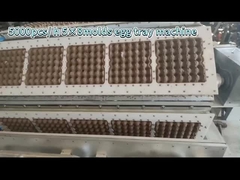 خط تولید سینی تخم مرغ