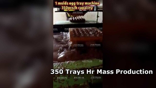 دستگاه سینی تخم مرغ 3000pcs hr تولید انبوه