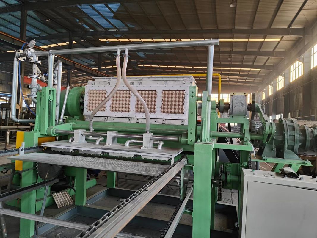 70-150KW 2000-3000 PCS / H ماشین ساخت سینی تخم مرغ روتاری خودکار کامل قیمت ماشین شکل دادن سینی تخم مرغ برای سینی تخم مرغ