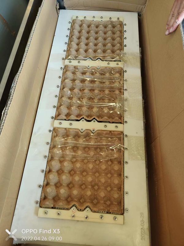 70-150KW 2000-3000 PCS / H ماشین ساخت سینی تخم مرغ روتاری خودکار کامل قیمت ماشین شکل دادن سینی تخم مرغ برای سینی تخم مرغ