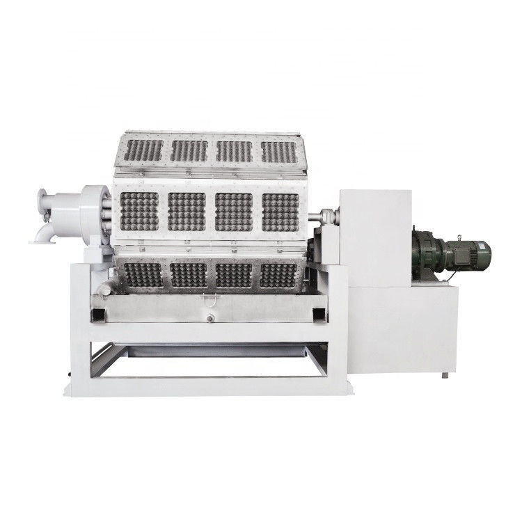 خط تولید سینی تخم مرغ سفارشی 700 - 6000pcs/Hr برای مزرعه مرغ