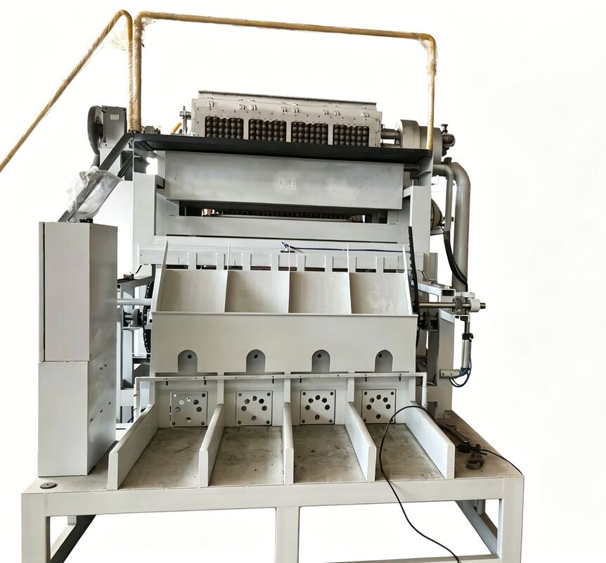 دستگاه سینی تخم مرغ چرخشی WANYOU WY-F2 با ظرفیت 2500-3000 عدد در ساعت با استفاده از خمیر کاغذ بازیافتی و کنترل خودکار PLC