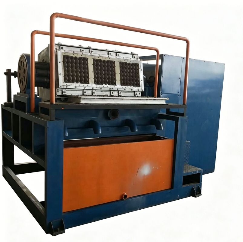 ماشین ساخت سینی تخم مرغ کاملا اتوماتیک. 3*4 قالب ماشین سینی تخم مرغ روتاری سرمایه گذاری کم، ضایعات صفر، سود بالا برای شرکت های کوچک و متوسط