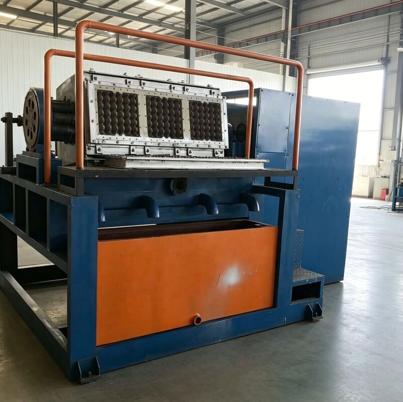 WANYOU WY-5 Rotary Egg Tray Machine Egg Carton Production Line 2000-3000 pcs/h Recycled Paper Pulp Molding for Venezuelan Poultry Farm