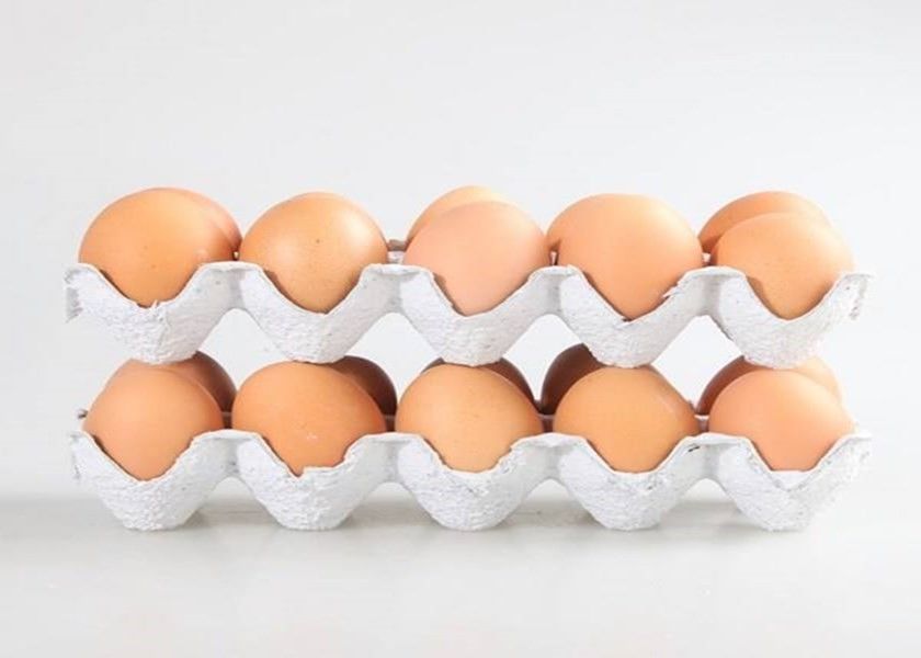 سینی میوه دوستدار محیط زیست / خط تولید سینی تخم مرغ ظرفیت 350 -3000 عدد در ساعت