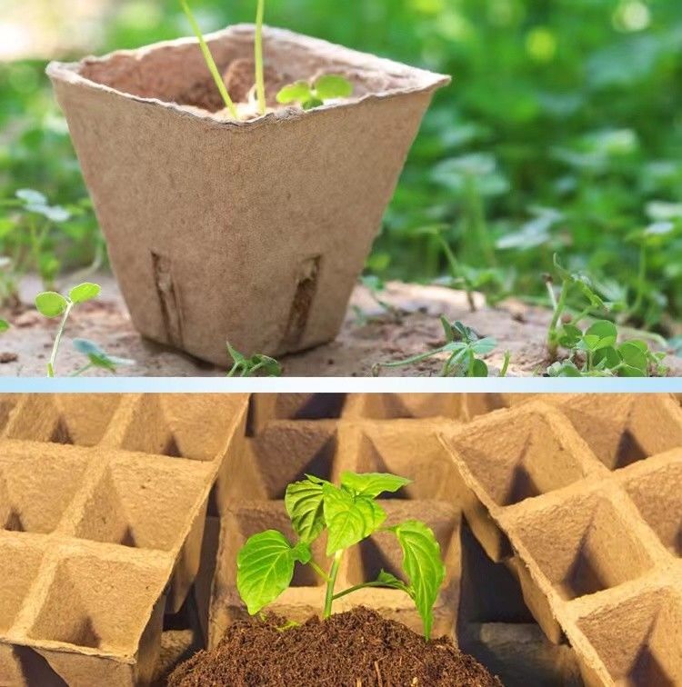 ماشین ساخت سینی کاغذ زباله تخم مرغ برای مزرعه مرغ ظرفیت تولید کوچک